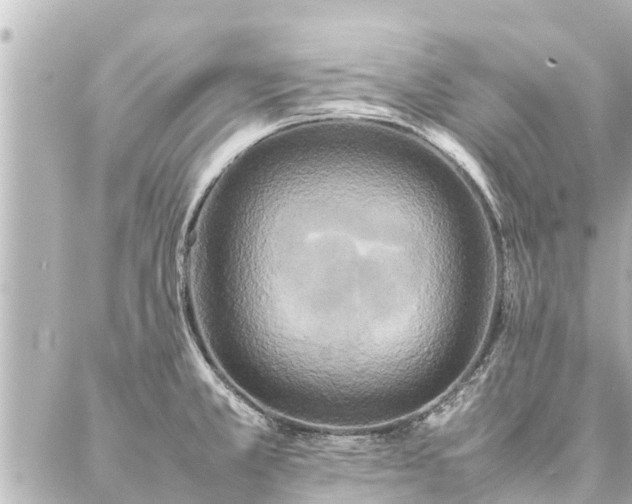 X0000087061381200704251018