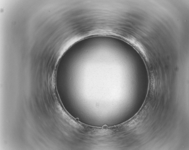 X0000087061382200704251018