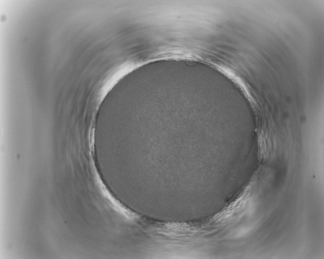 X0000087061383200704251018