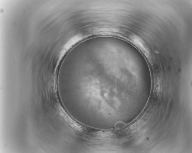 X0000087061384200704251018