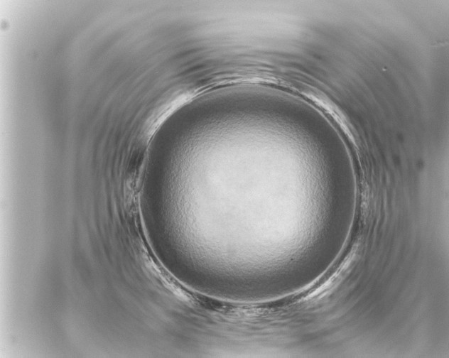 X0000087061385200704251018