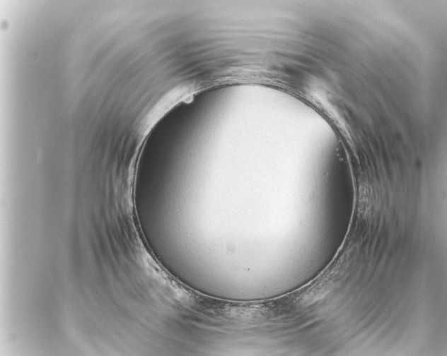 X0000087061386200704251018