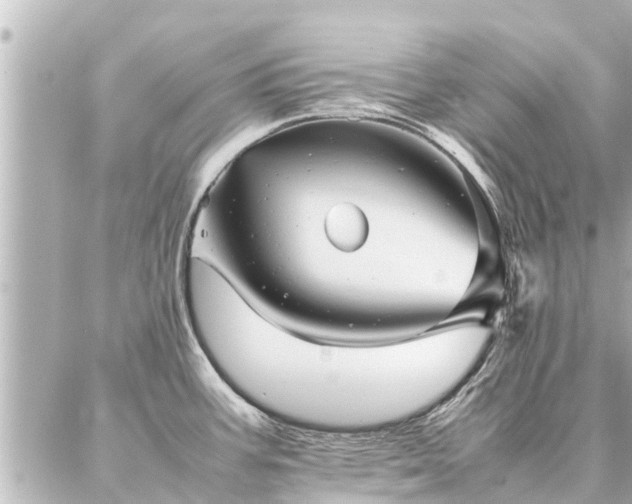 X0000087061387200704251018