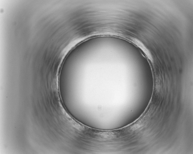 X0000087061388200704251018