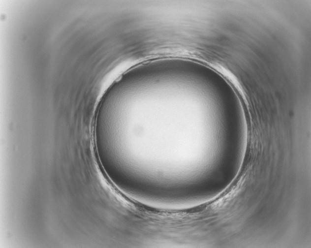 X0000087061389200704251018