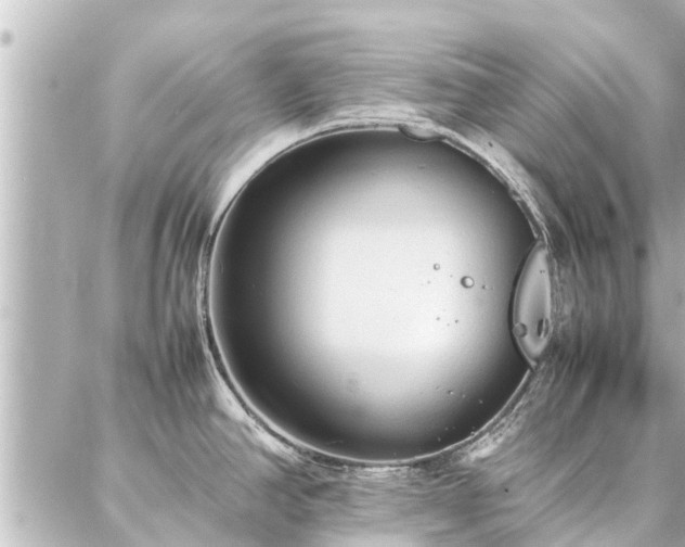 X0000087061390200704251018