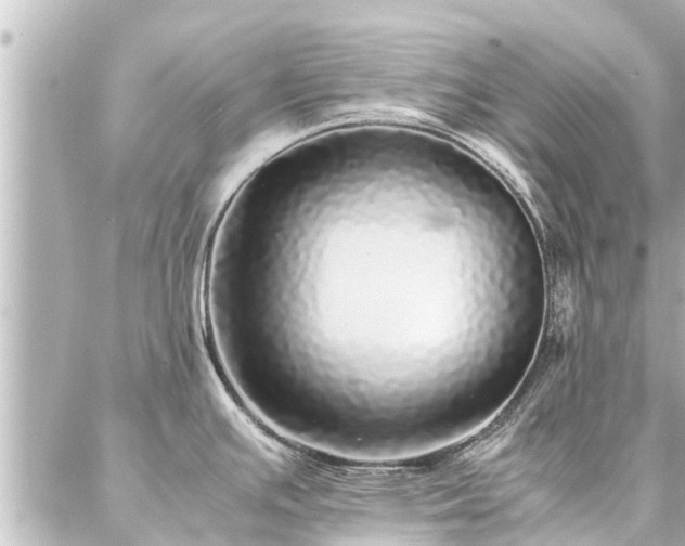 X0000087061391200704251018