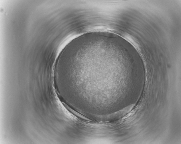 X0000087061392200704251018