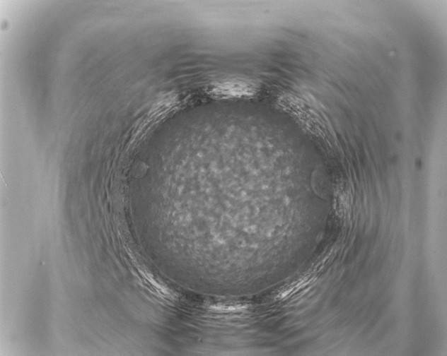 X0000087061393200704251017