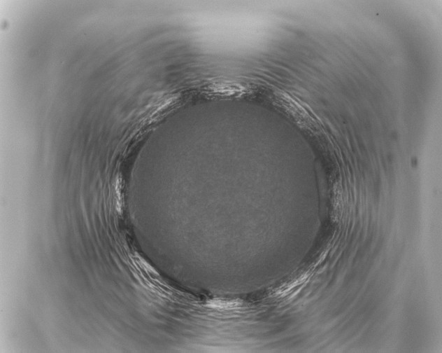 X0000087061394200704251017