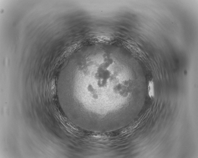 X0000087061395200704251017