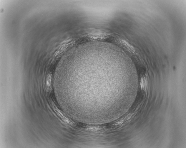 X0000087061396200704251017