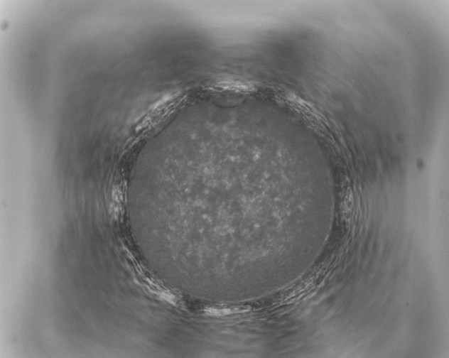 X0000087061397200704251017