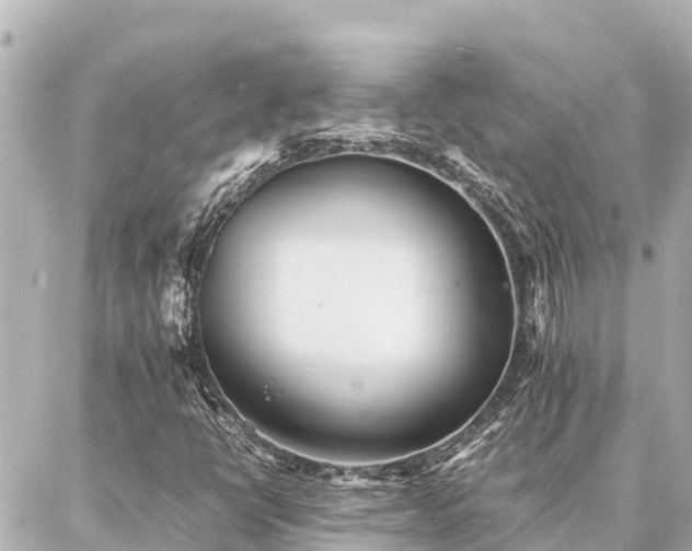 X0000087061398200704251017