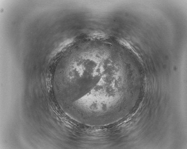 X0000087061399200704251017