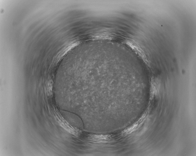 X0000087061401200704251017