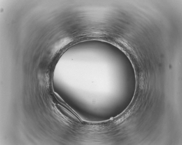 X0000087061402200704251017