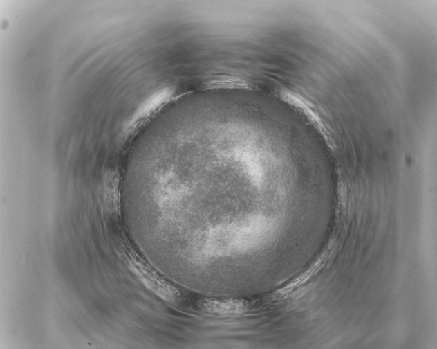 X0000087061403200704251017