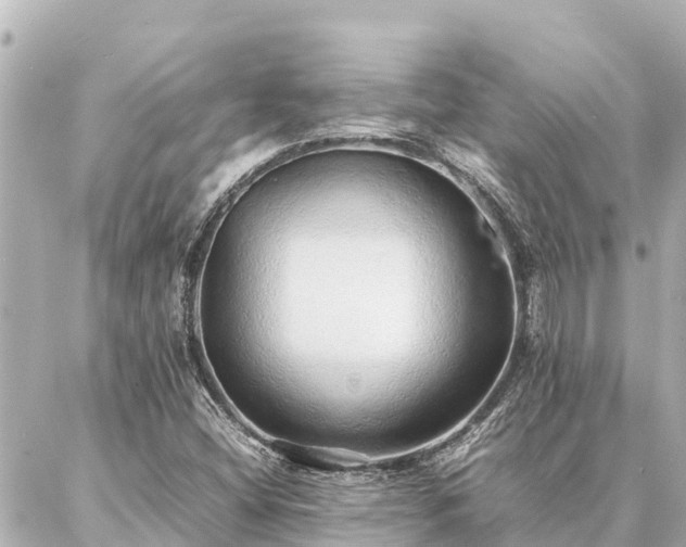 X0000087061404200704251017