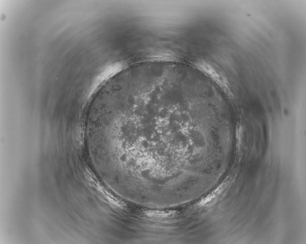 X0000087061405200704251017