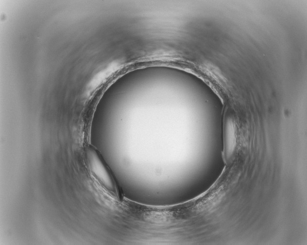 X0000087061406200704251017