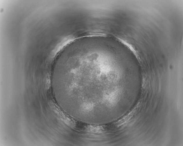 X0000087061407200704251017