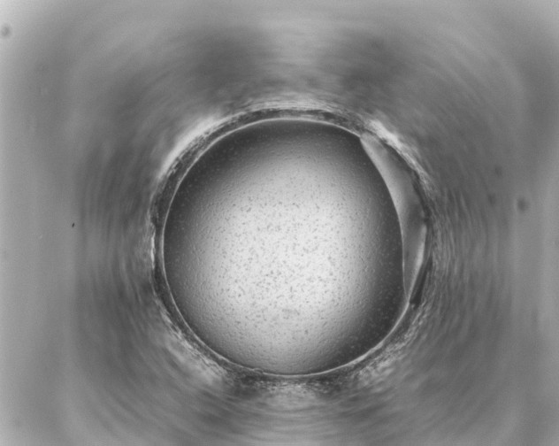 X0000087061408200704251017