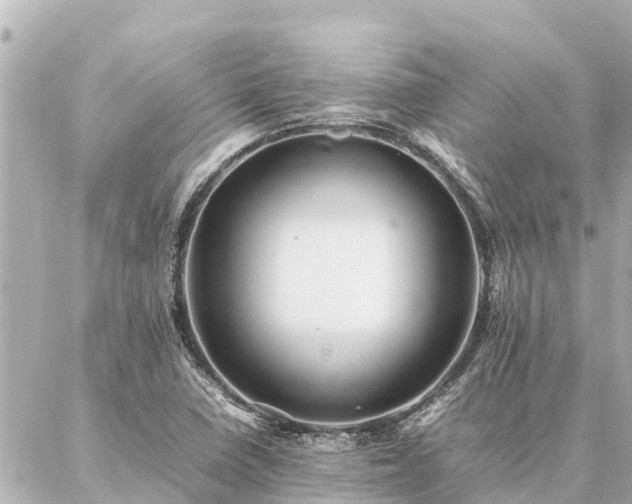 X0000087061410200704251017