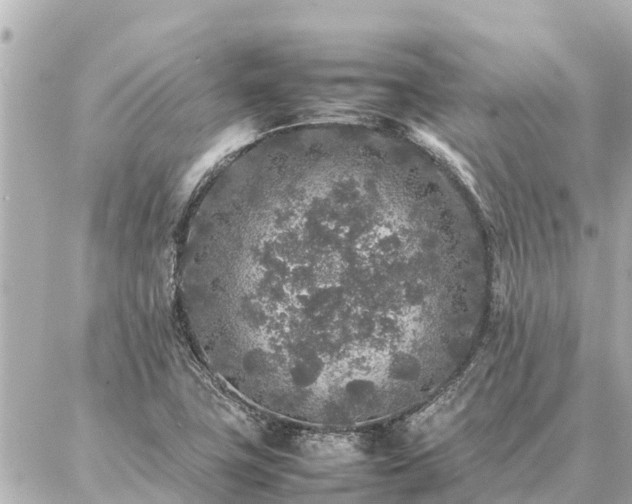 X0000087061411200704251017