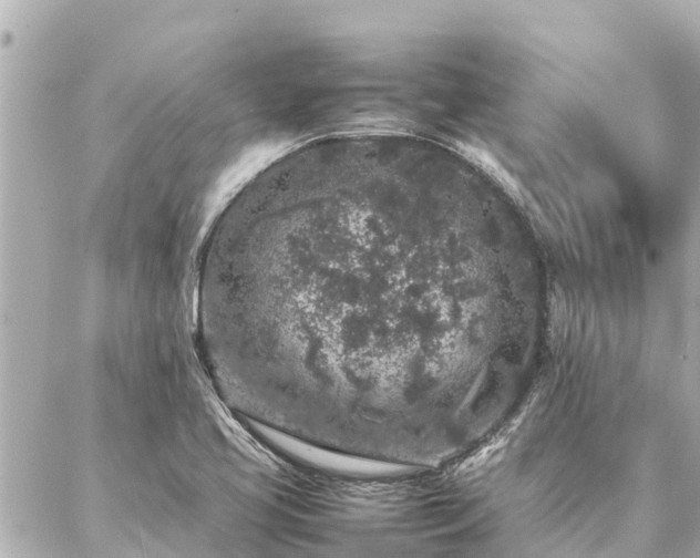 X0000087061413200704251018