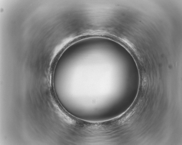 X0000087061414200704251018