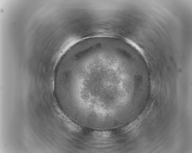 X0000087061415200704251018