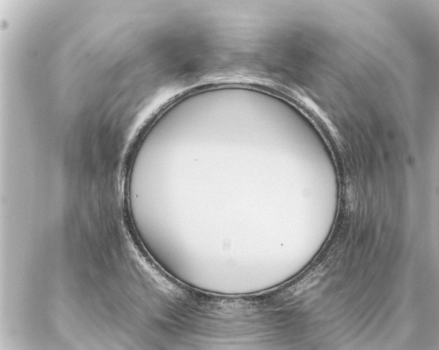 X0000087061416200704251018