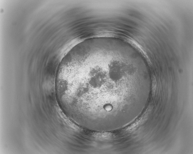 X0000087061417200704251018