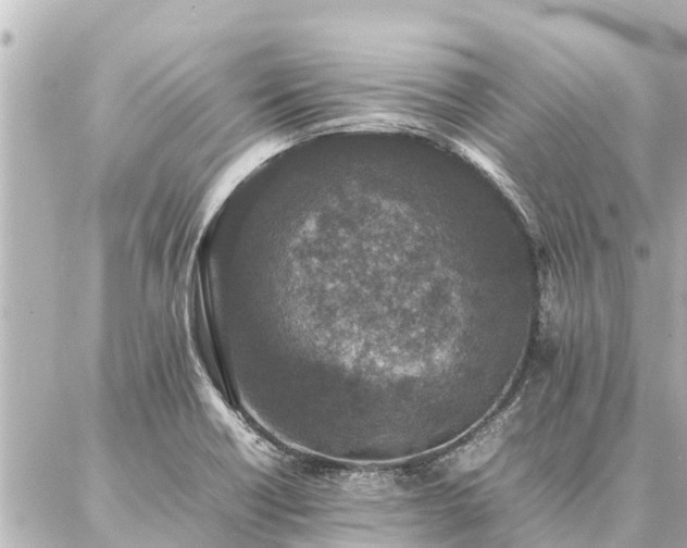 X0000087061418200704251018