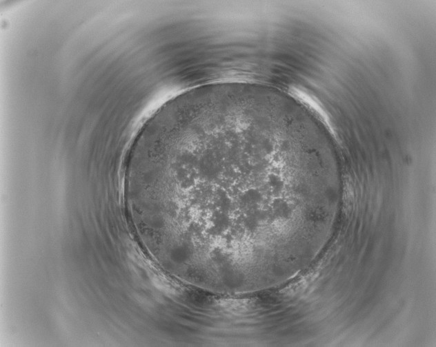 X0000087061419200704251018