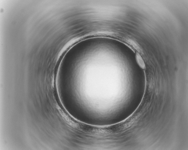 X0000087061420200704251018