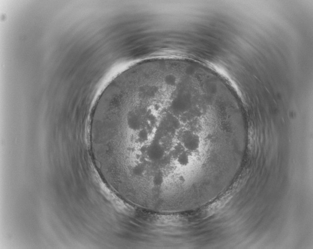 X0000087061421200704251018