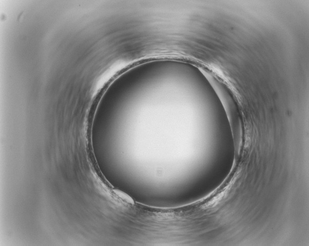 X0000087061422200704251018