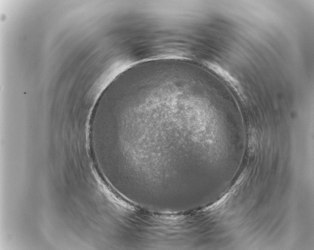 X0000087061423200704251018