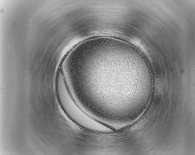 X0000087061424200704251018