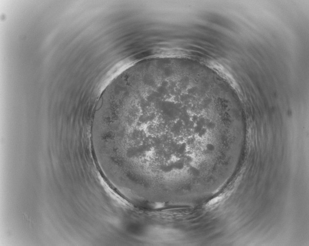 X0000087061425200704251018