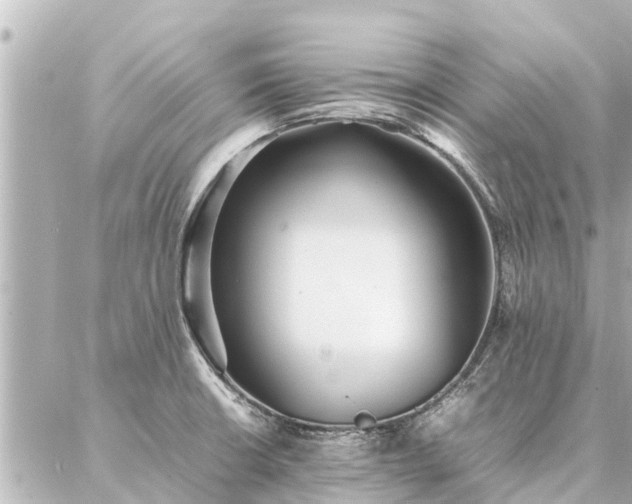 X0000087061426200704251018