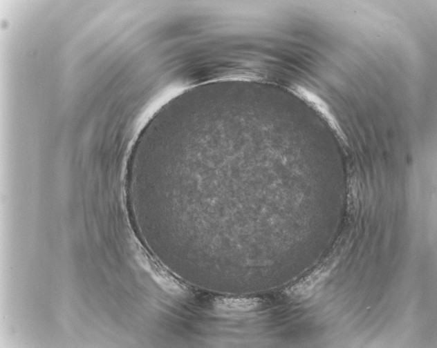 X0000087061427200704251018