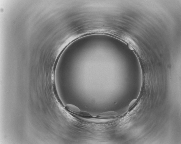 X0000087061428200704251018