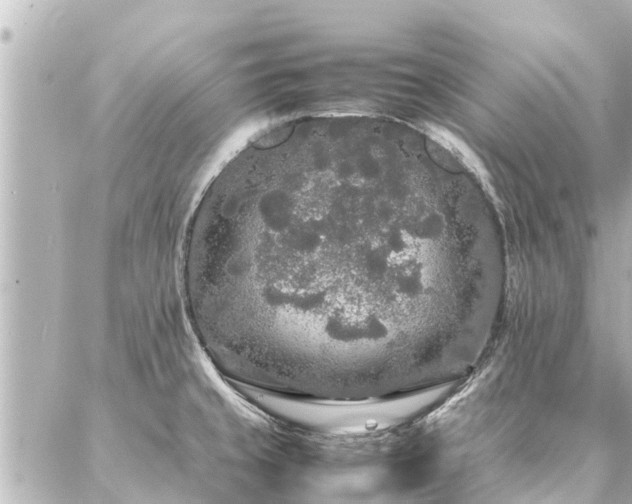 X0000087061429200704251018