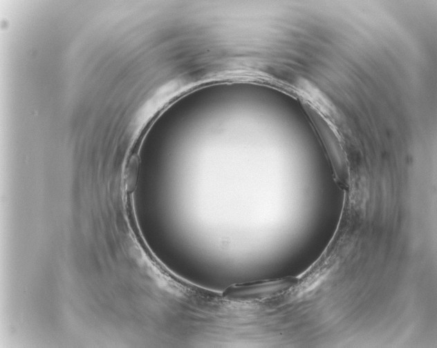 X0000087061430200704251018