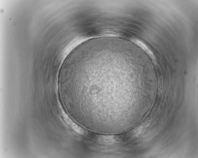 X0000087061431200704251018