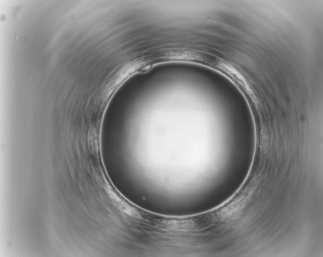 X0000087061433200704251018