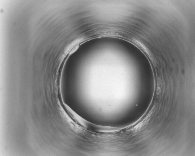 X0000087061434200704251018